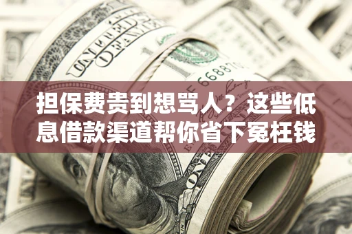 北京担保费贵到想骂人？这些低息借款渠道帮你省下冤枉钱