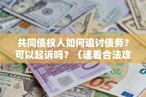 北京共同债权人如何追讨债务？可以起诉吗？（速看合法攻略）
